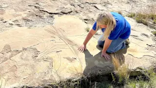 Blue Mold Vandalism Hits Rare Wyoming Dinosaur Tracks, Trackway Closed