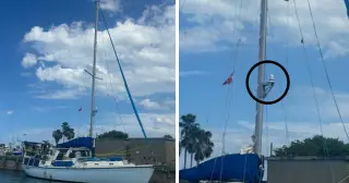 Infrared Camera on Sailboat Could Shed Light on Lynette Hooker Case