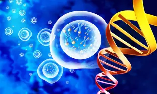 Two aging milestones revealed: the body shifts at 44 and 60, study finds
