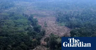Brazil Amazon Deforestation Hits Record Low Before Pivotal Election