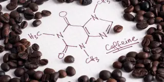 Caffeinated coffee shields the brain from chronic stress in mice; decaf offers no protection