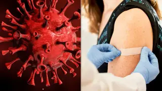 FDA Approves Updated COVID Shots for 2026–27 Season