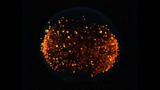 NASA Aims to Light Fires on the Moon to Study Lunar-Gravity Fire Safety