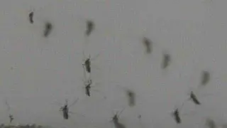 Forsyth County Confirms First Human West Nile Virus Case of 2026