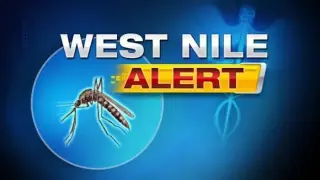 Duval County Sees Local West Nile Case, Launches Mosquito Control Response