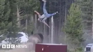 Grandfather recounts being launched into the air by a Yellowstone bison attack