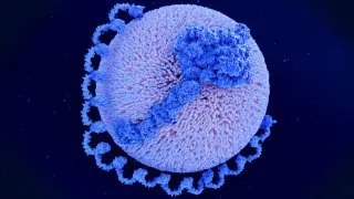 Lp(a) Drug Race Aims to Prove Heart Disease Prevention