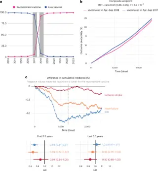 Recombinant Shingles Vaccine Linked to Lower Cardiovascular Burden in a Large Natural Experiment