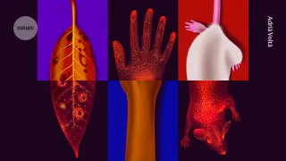 Life’s faint glow: a potential new signal for health and disease