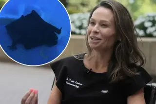 Doctor’s bat encounter triggers rabies PSA and safety tips