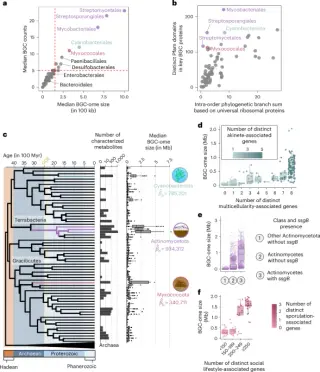Multicellularity Expands Microbial Chemical Repertoires