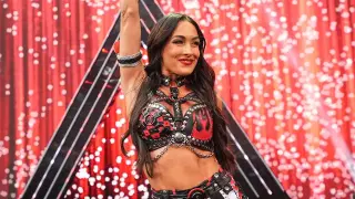 Brie Bella sidelined by painful SummerSlam shoulder injury