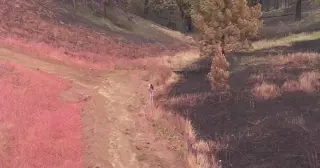 Upriver Fire Evacuations Ease in Spokane Valley as Containment Grows