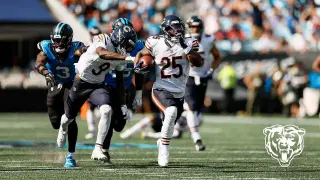 Chicago Bears Photo Gallery: Week 1 in Carolina