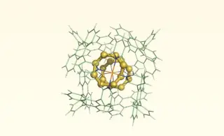 Mammalian cells found to produce elemental sulfur for antioxidant defense