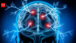Brain-boosting meal pairings: everyday foods linked to better memory and brain health