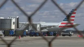 Coyote Injures Airport Worker in Rhode Island