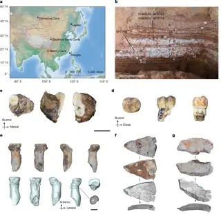 Denisovans Expanded Their Range to Southwest China, Revealed by Proteomic Analysis
