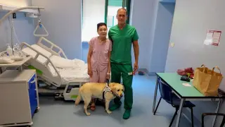 Groundbreaking Central Retina Transplant Restores Sight in Woman