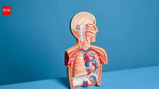 Lung Cancer Risk Isn’t Just Smoking: Hidden Hazards at Home, Work, and Air