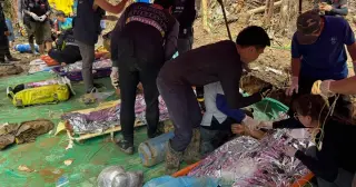 Four More Gold Miners Freed From Flooded Laos Cave After 10 Days