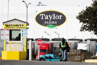 Congressional Inquiry Targets Taylor Farms Donation Amid Cyclospora Outbreak