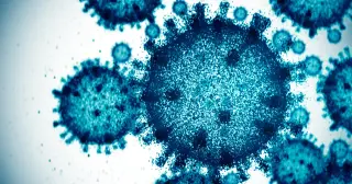 AI Designs 16 New Bacteriophages to Fight Antibiotic-Resistant Bacteria