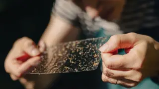 Capitol Hill neighbors launch pesticide-free mosquito-control blitz