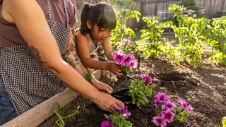 Small Gestures, Big Health: How Kindness and Green Spaces Help Defy Disease
