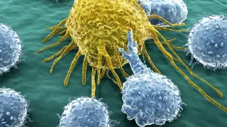 Engineered Immune Progenitors Enable Scalable CAR-M Cancer Therapy