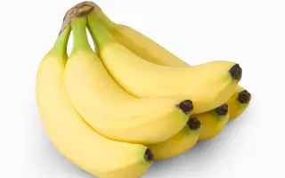 UK Approves Gene-Edited Bananas to Combat Browning and Food Waste