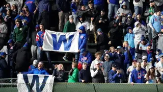 Cubs Fan Slaps Younger Spectator Over Anthem Stand, Viral Video Sparks Debate