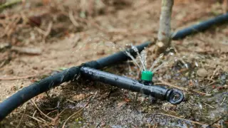 New Satellite Analysis Reveals Groundwater Depletion Is 45% Worse Than Previously Estimated