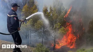 Algeria Battles Deadly Wildfires Amid Heatwave Along the Coast