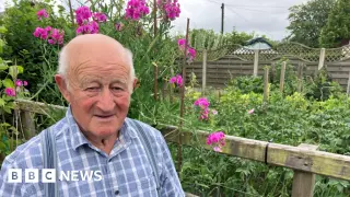 Mid-Wales farmer’s years-long battle with tapeworm-linked cysts raises hydatid disease concerns