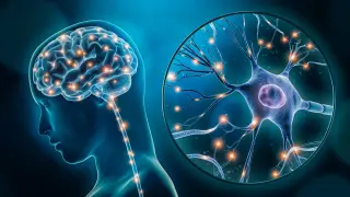 Brain Cells Linked to Depression Uncovered, Hinting at Targeted Treatments