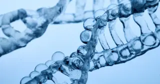 Ancient viral DNA helped shape the human placenta