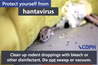 Health Officials Warn of Hantavirus Risk in Long-Closed Buildings