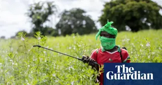 Global study finds almost half of farmers poisoned by pesticides each year
