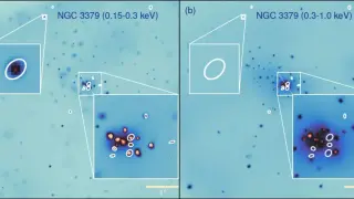 84 Hidden Hypersoft X-ray Sources Illuminate a Quiet Galactic Population