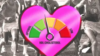 HDL Cholesterol: Don’t Chase It—Treat the Root Health Issues