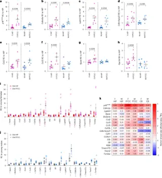 Aged white matter harbors a reversible senescent DAM microglia state linked to GAL3 signaling