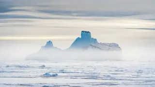 Greenland Icebergs Reshape Deep-Sea Life as Melt Accelerates
