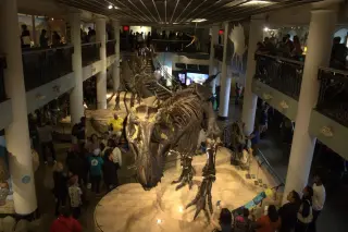 Former Staff Blame Strategic Shifts for Academy of Natural Sciences Closure