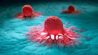 New Ultrasound Method Tracks Glioblastoma’s Structural Manipulation of Brain Tissue in Awake Mice