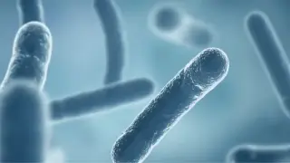Fourth death linked to Manhattan Legionnaires outbreak prompts ongoing investigations