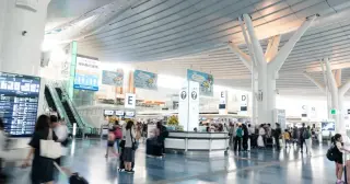 Pair of American women arrested after alleged plan to smuggle $1M cannabis into Tokyo for a paid trip