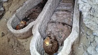 Roman-era Egyptian mummy carries Iliad text on abdomen, first of its kind