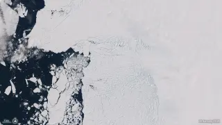 Doomsday Glacier teeters as its last ice shelf breaks this year