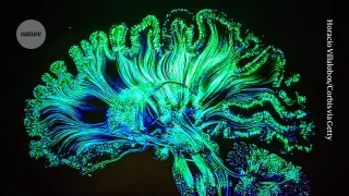 LSD Microdosing Boosts Women's Attention but Not Men's, Study Finds